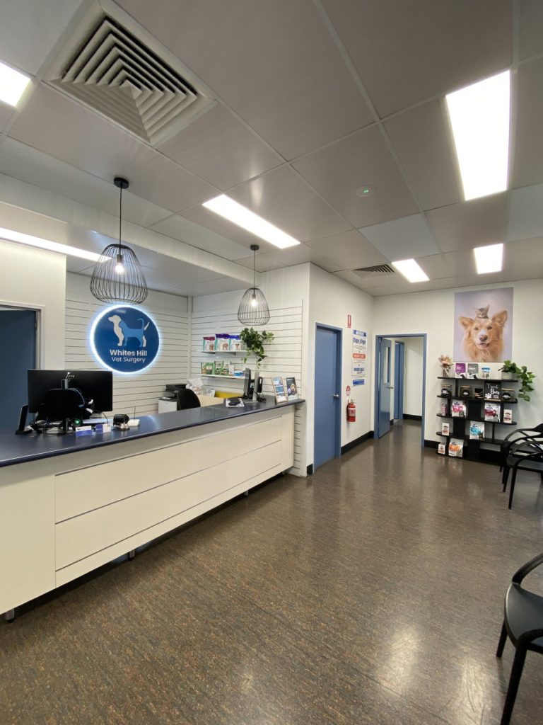 Have You Seen Our New Look?